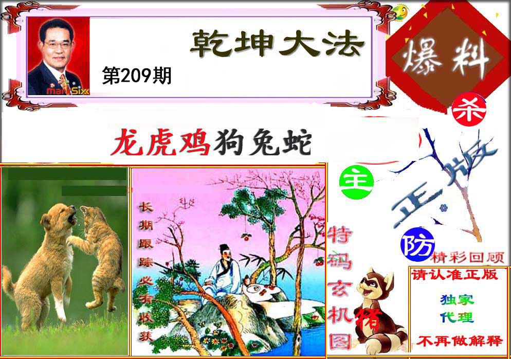 王中王论坛